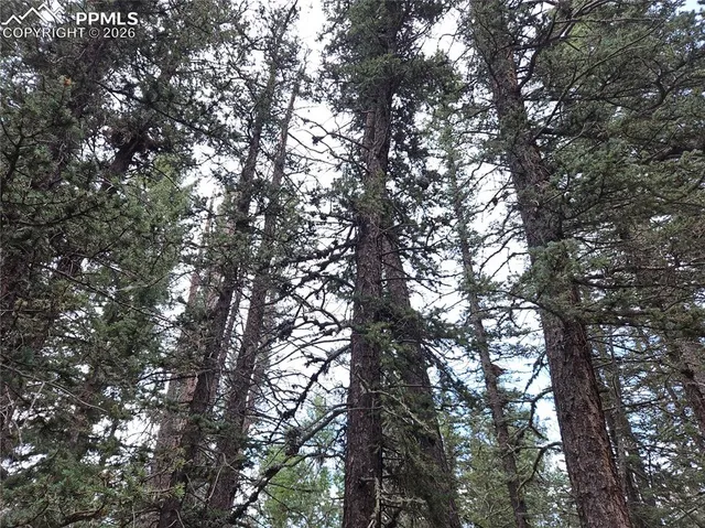 $125,000 | 702 Lake Drive West, Divide, CO 80814