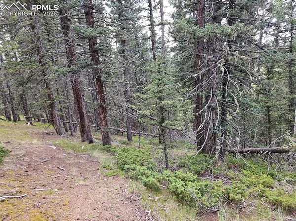 $125,000 | 702 Lake Drive West, Divide, CO 80814