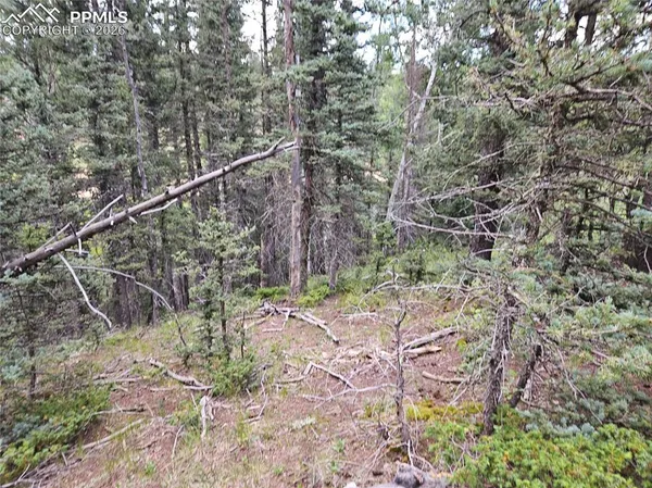 $125,000 | 702 Lake Drive West, Divide, CO 80814