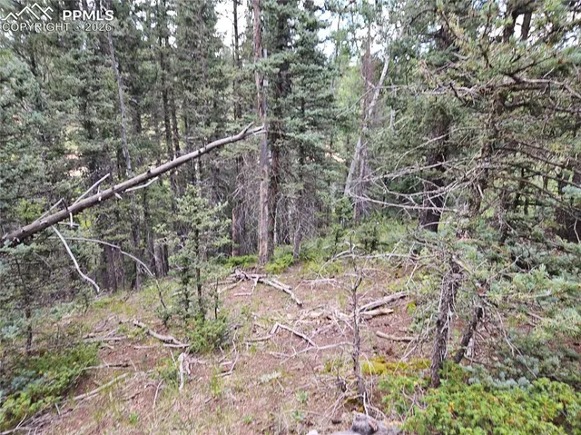 $125,000 | 702 Lake Drive West, Divide, CO 80814