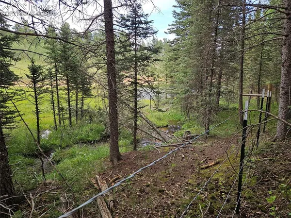 $125,000 | 702 Lake Drive West, Divide, CO 80814