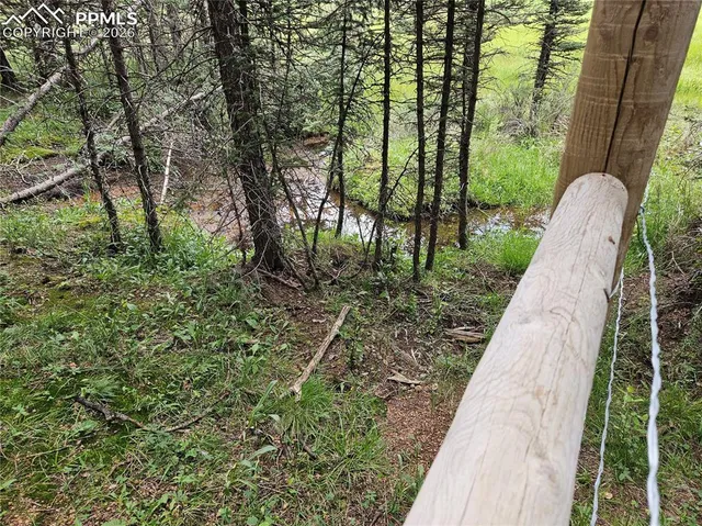 $125,000 | 702 Lake Drive West, Divide, CO 80814