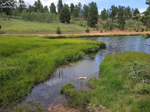$125,000 | 702 Lake Drive West, Divide, CO 80814