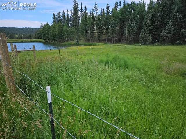 $125,000 | 702 Lake Drive West, Divide, CO 80814