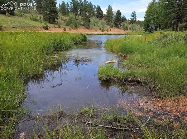 $125,000 | 702 Lake Drive West, Divide, CO 80814