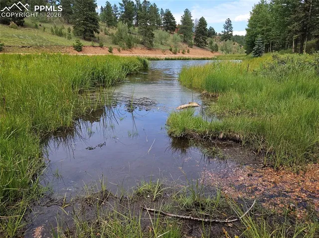 $125,000 | 702 Lake Drive West, Divide, CO 80814