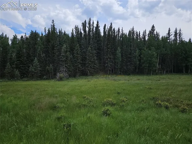 $125,000 | 702 Lake Drive West, Divide, CO 80814