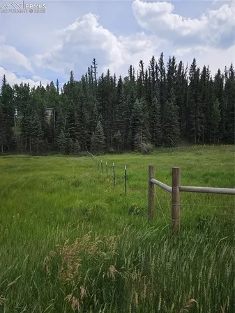 $125,000 | 702 Lake Drive West, Divide, CO 80814