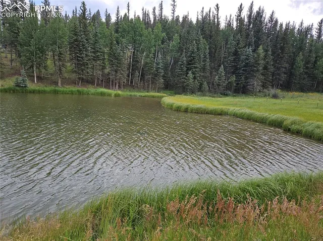 $125,000 | 702 Lake Drive West, Divide, CO 80814