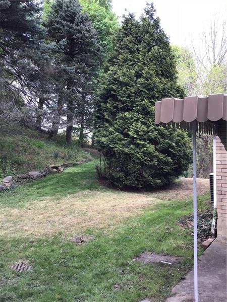 1606 Lafayette Road Pittsburgh, PA 15221 - Photo 19 of 25 Plenty of room to grow outdoors.