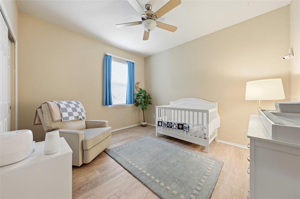 20945 Oldenburg Loop Mount Dora, FL 32757 - Photo 27 of 68