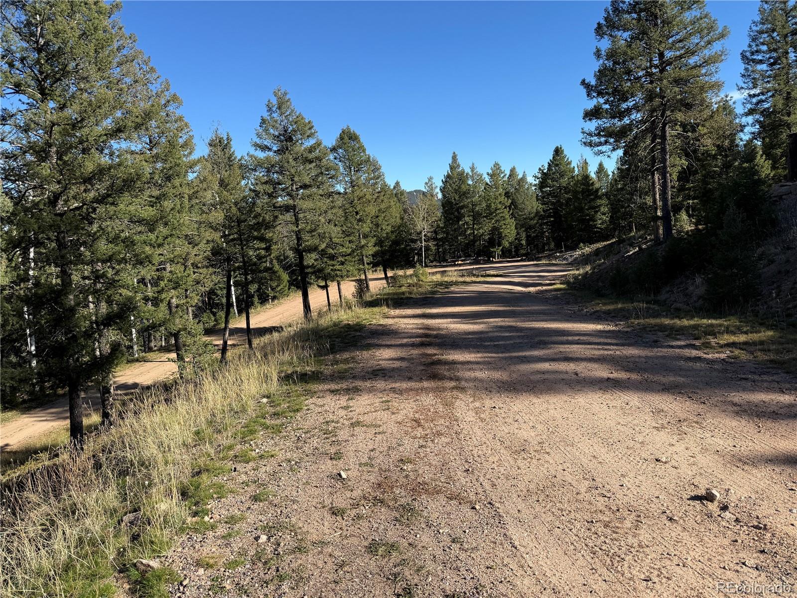 9606 Wallow Court Conifer, CO 80433 - Photo 11 of 27 a view of backyard with green space