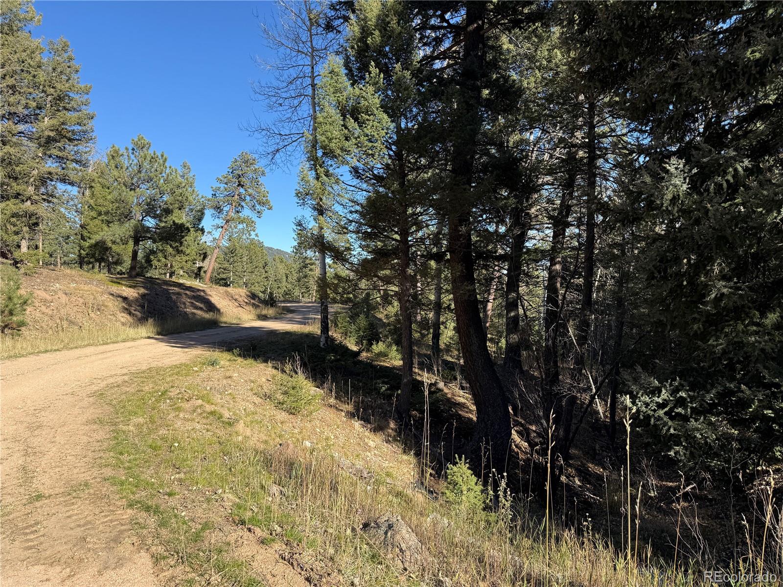 9606 Wallow Court Conifer, CO 80433 - Photo 13 of 27 a view of a yard with a tree