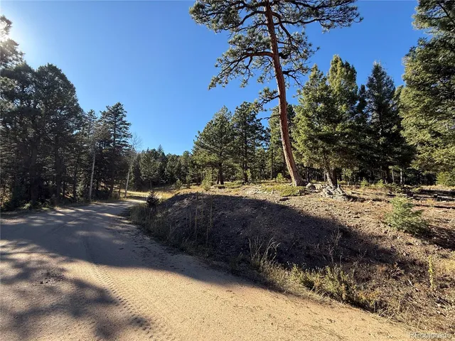 a view of swimming pool with a yard