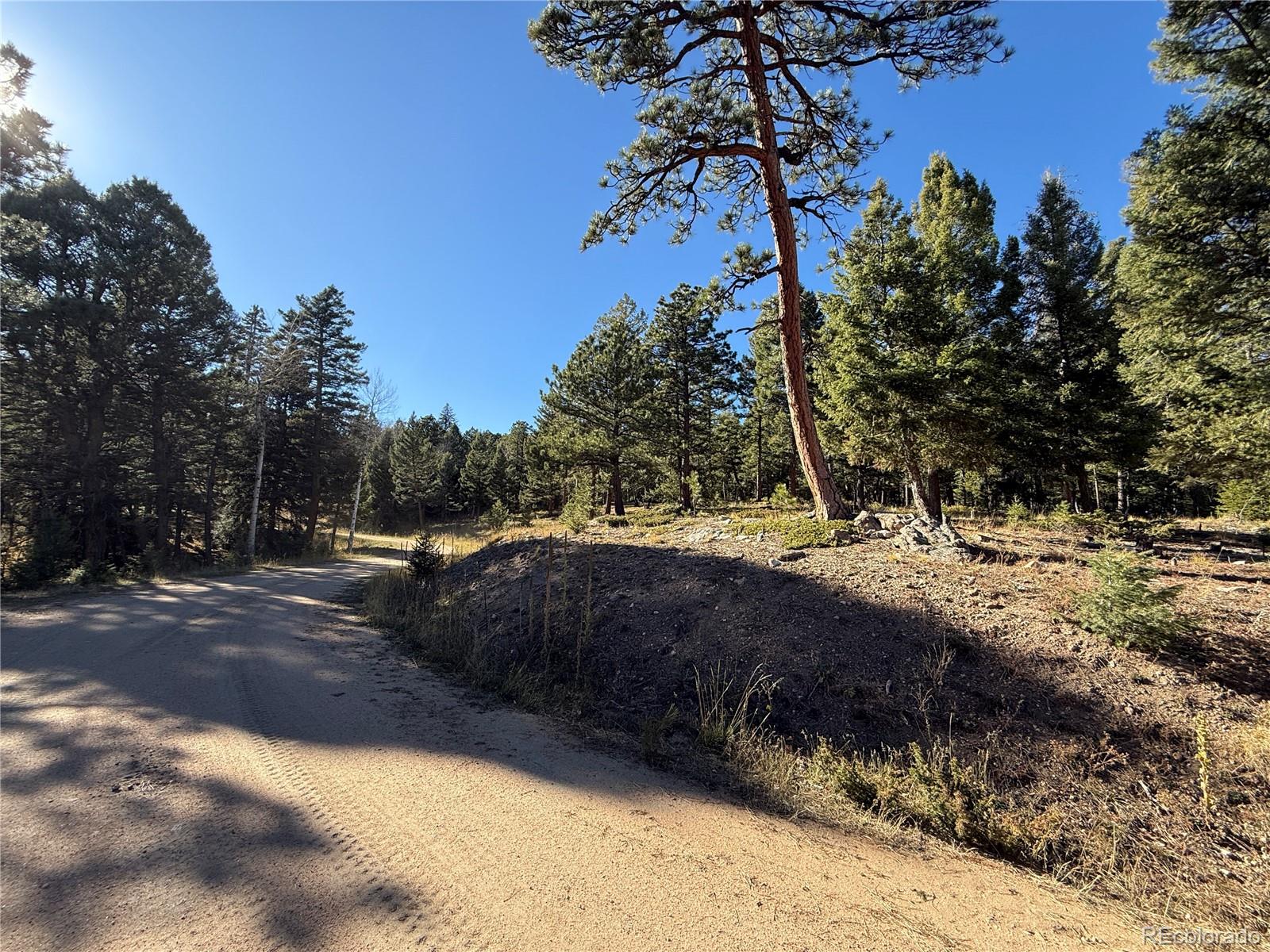 9606 Wallow Court Conifer, CO 80433 - Photo 14 of 27 a view of swimming pool with a yard