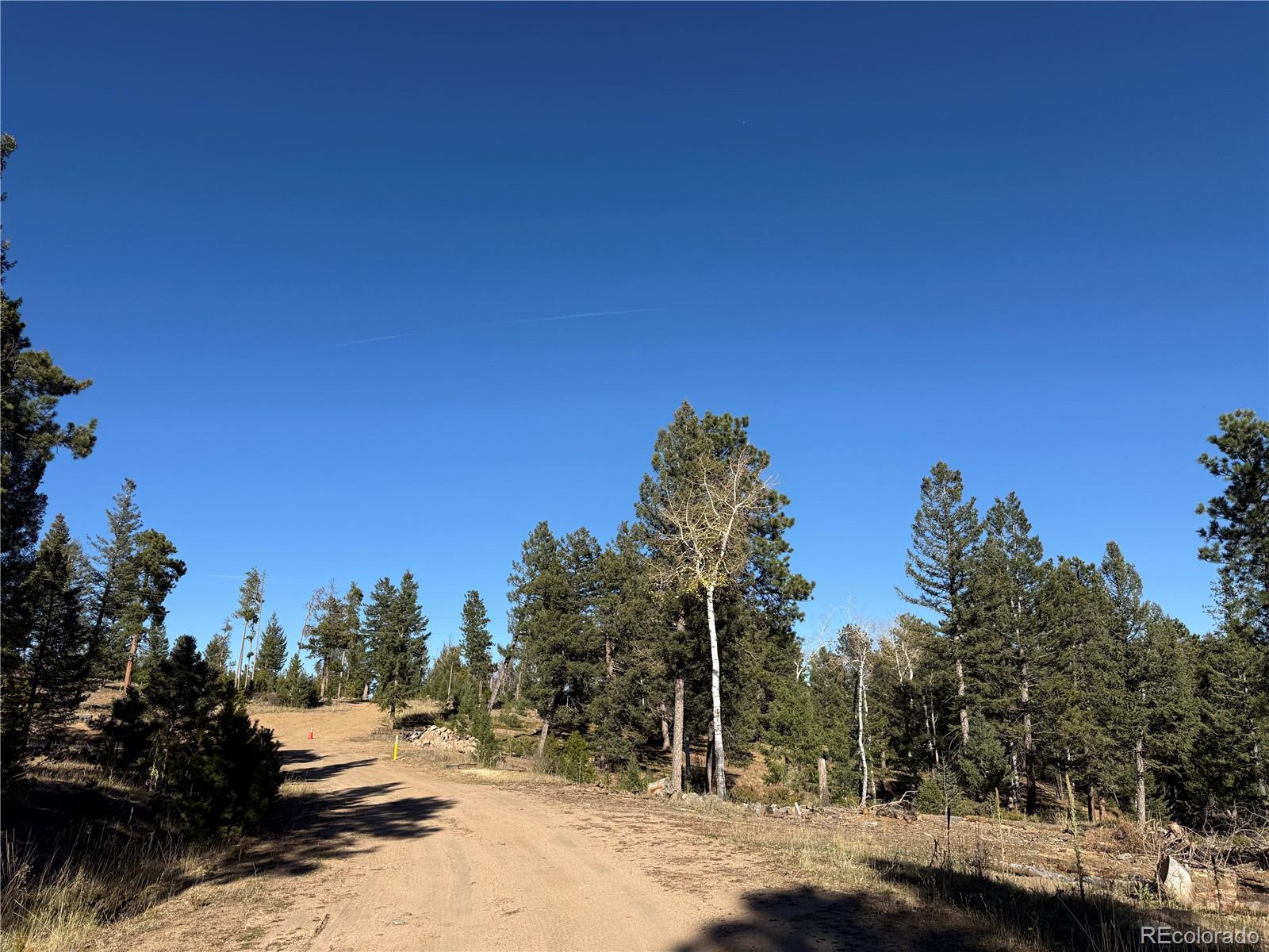 9606 Wallow Court Conifer, CO 80433 - Photo 15 of 27 a view of a covered with snow in front of house
