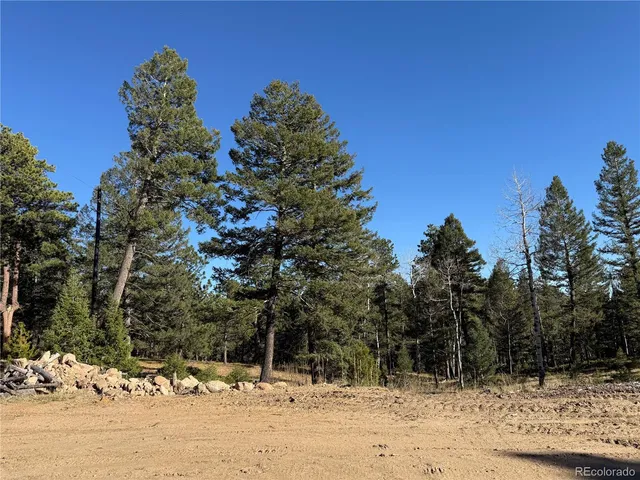 a view of a yard covered in snow