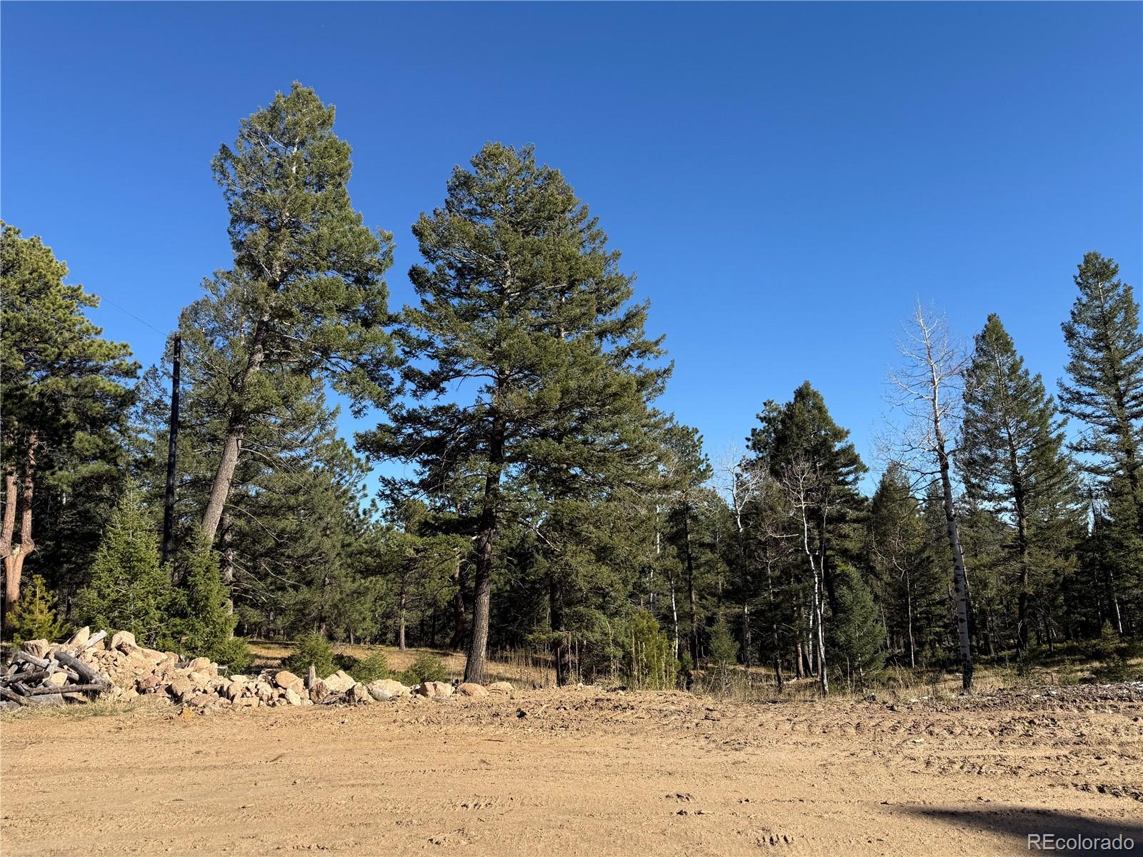 9606 Wallow Court Conifer, CO 80433 - Photo 16 of 27 a view of a yard covered in snow