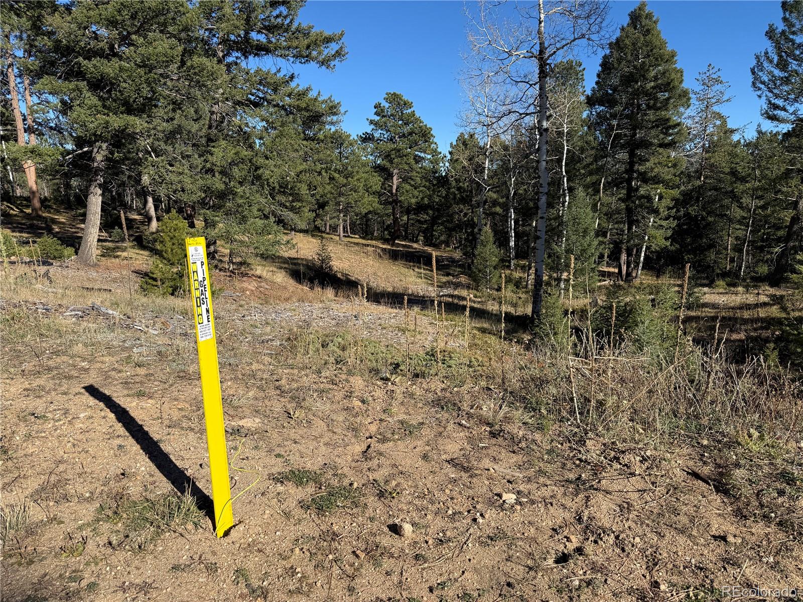 9606 Wallow Court Conifer, CO 80433 - Photo 18 of 27 a view of a park with swings