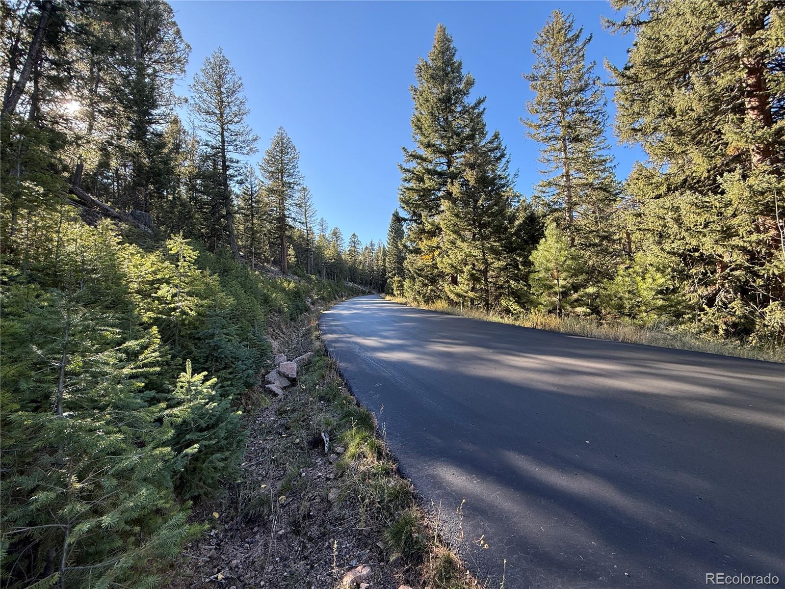 9606 Wallow Court Conifer, CO 80433 - Photo 7 of 27 a view of a yard