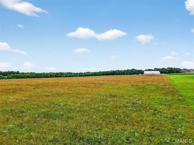 $139,000 | 10-ac Phelps Lane, Silex, MO 63377