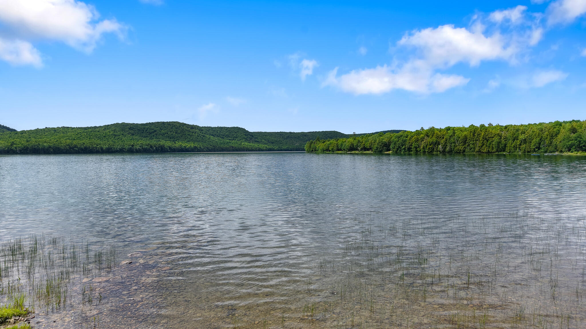 3 South Shore Road Topsfield, ME 04490 - Photo 17 of 42 dji_fly_20260625_144624_0334_17824129882