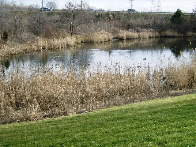 $2,195 | 457 Metropolitan Street, Aurora, IL 60502