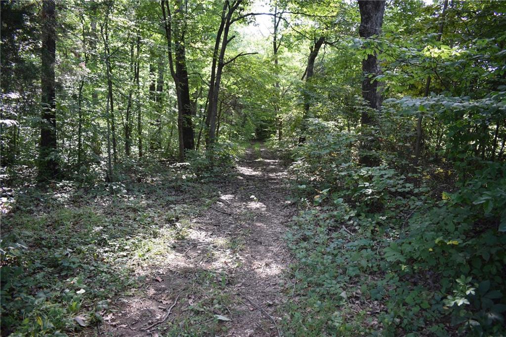 607 Sorrells Road Williams, IN 47470 - Photo 22 of 27 Gallery Image 22