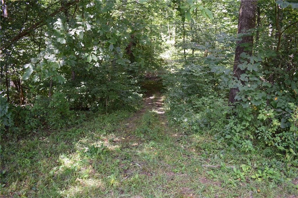 607 Sorrells Road Williams, IN 47470 - Photo 7 of 27 Gallery Image 7