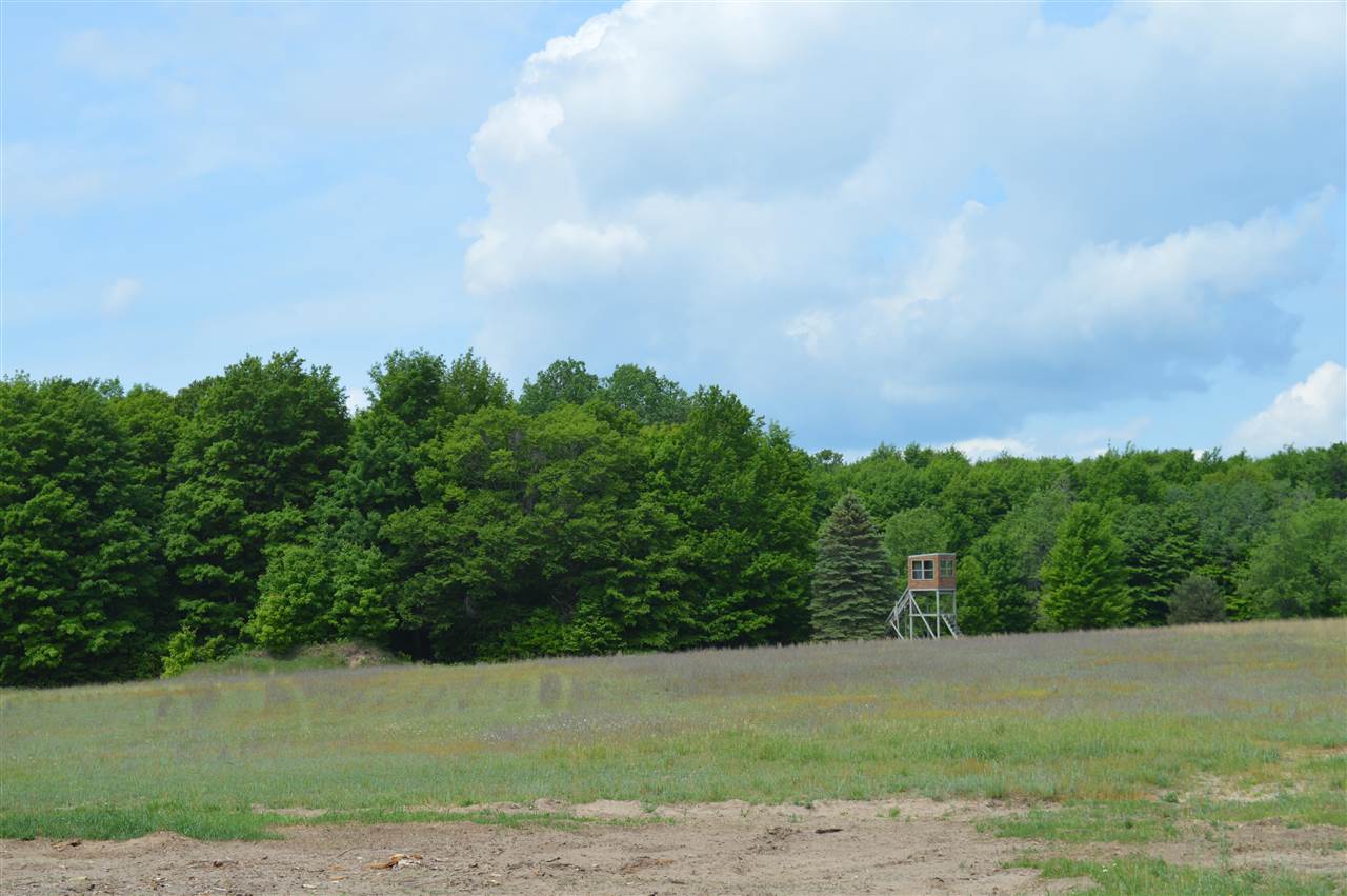 4583 Kenel Road Kalkaska, MI 49646 - Photo 42 of 52 1888568-41.JPG