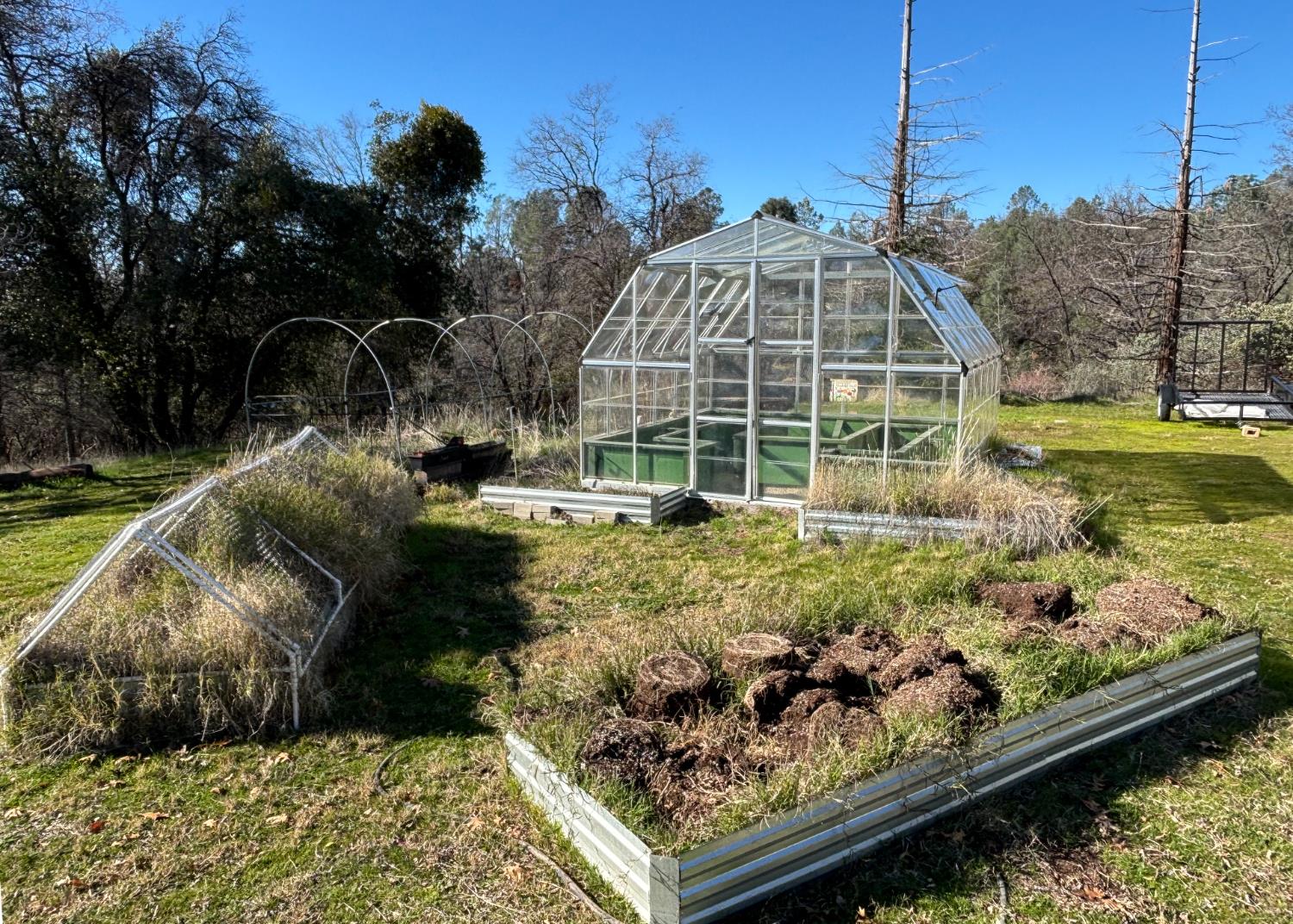 47515 Bissett Station Road Oakhurst, CA 93644 - Photo 18 of 59 a view of a garden with wooden floor