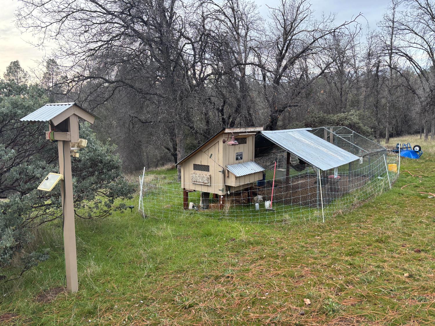 47515 Bissett Station Road Oakhurst, CA 93644 - Photo 20 of 59 a backyard of a house with table and chairs