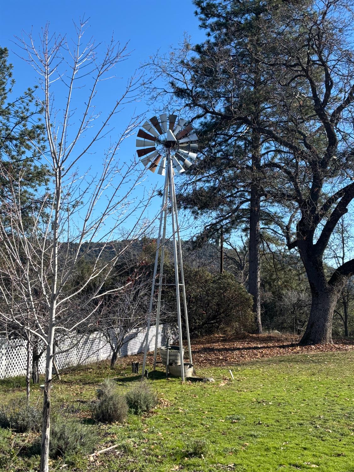 47515 Bissett Station Road Oakhurst, CA 93644 - Photo 21 of 59 a backyard of a house with lots of green space