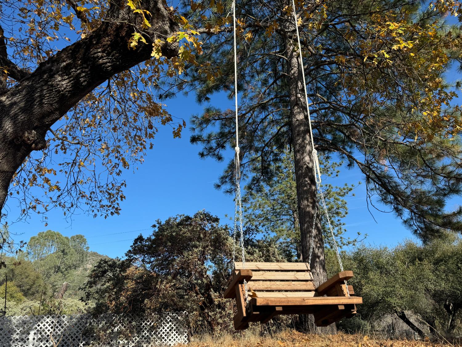 47515 Bissett Station Road Oakhurst, CA 93644 - Photo 23 of 59 a view of a bench in a garden