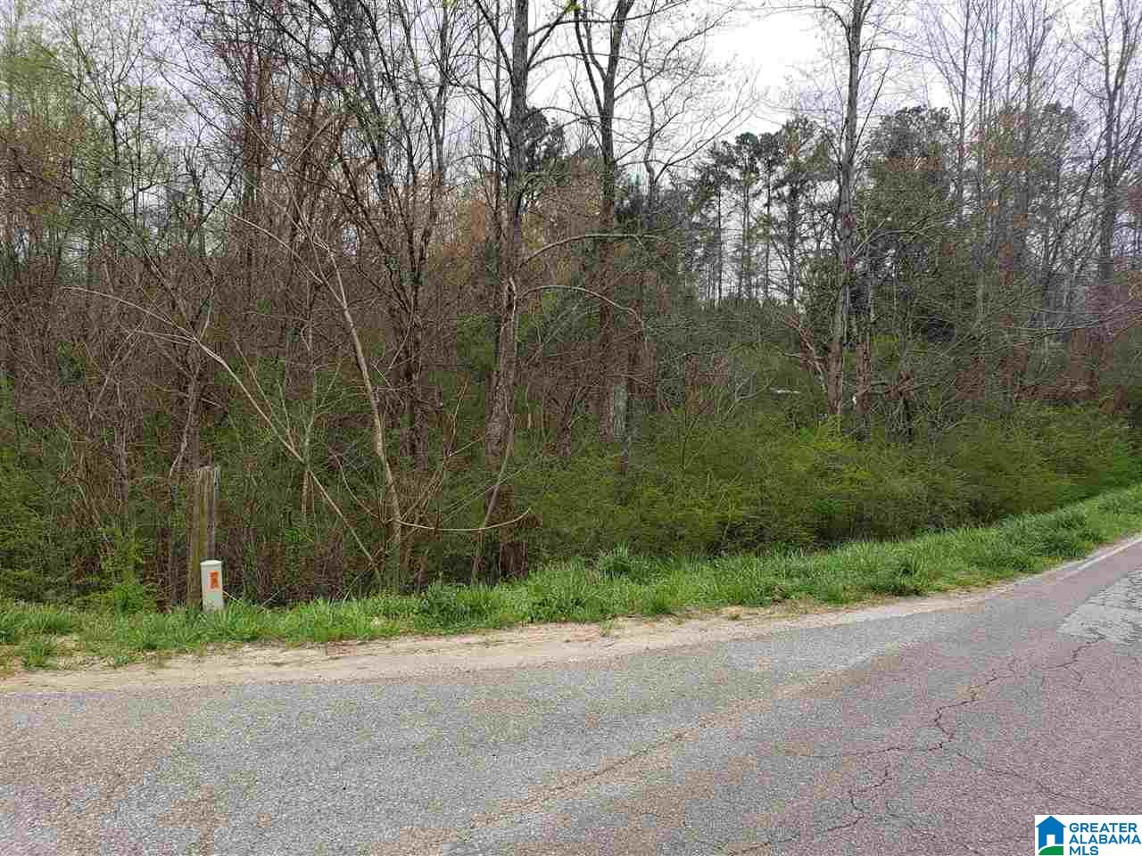 137 County Road 137 Delta, AL 36258 - Photo 3 of 3
