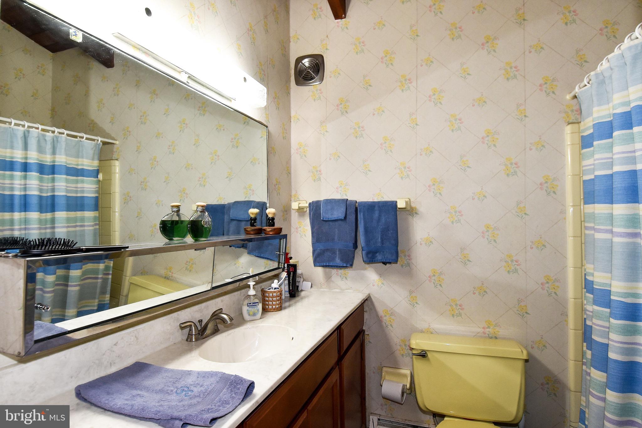 4121 Roberts Road Fairfax, VA 22032 - Photo 14 of 38 a bathroom with a sink and a mirror