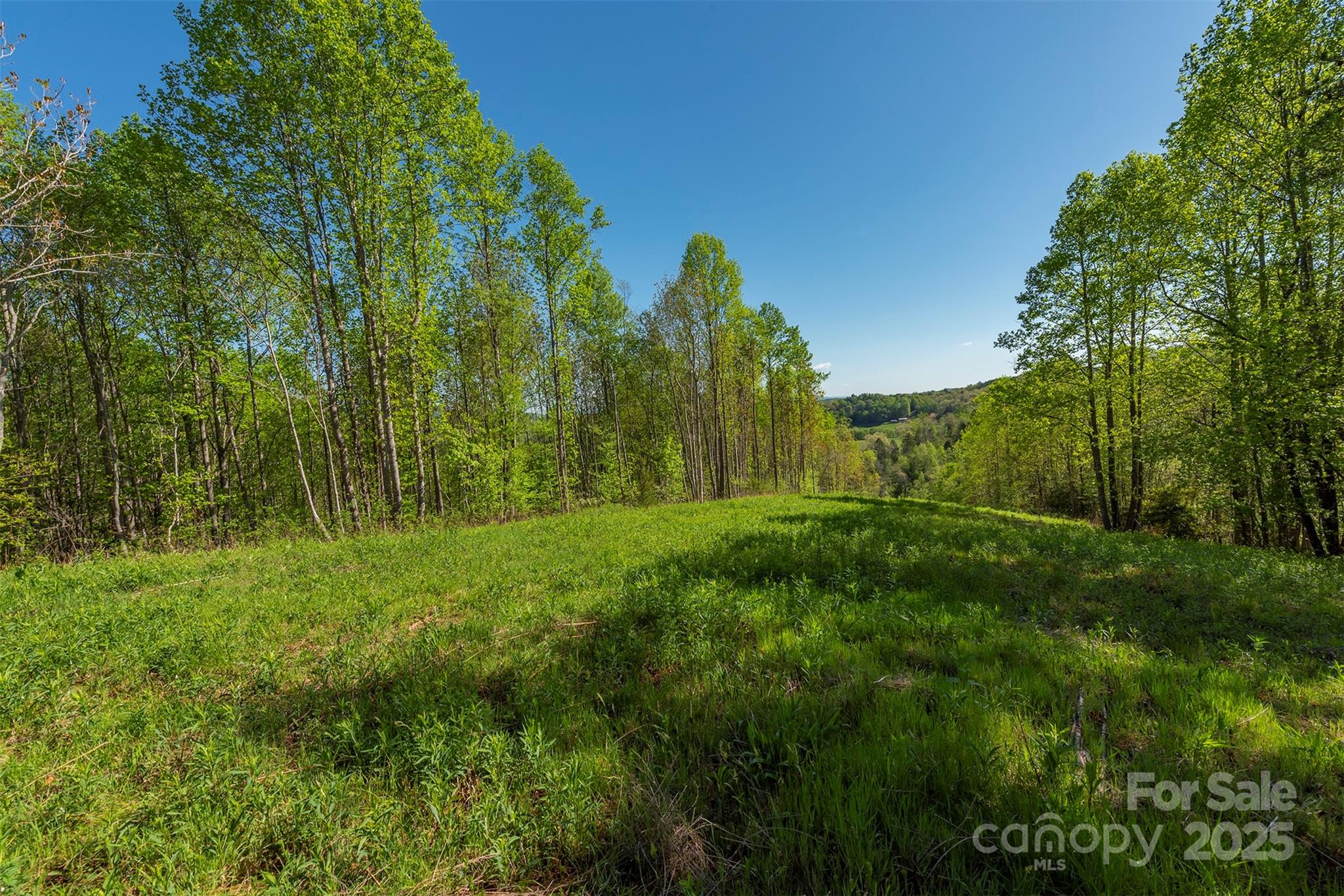 0 Thousand Oaks Drive Marion, NC 28752 - Photo 3 of 10 a view of a garden