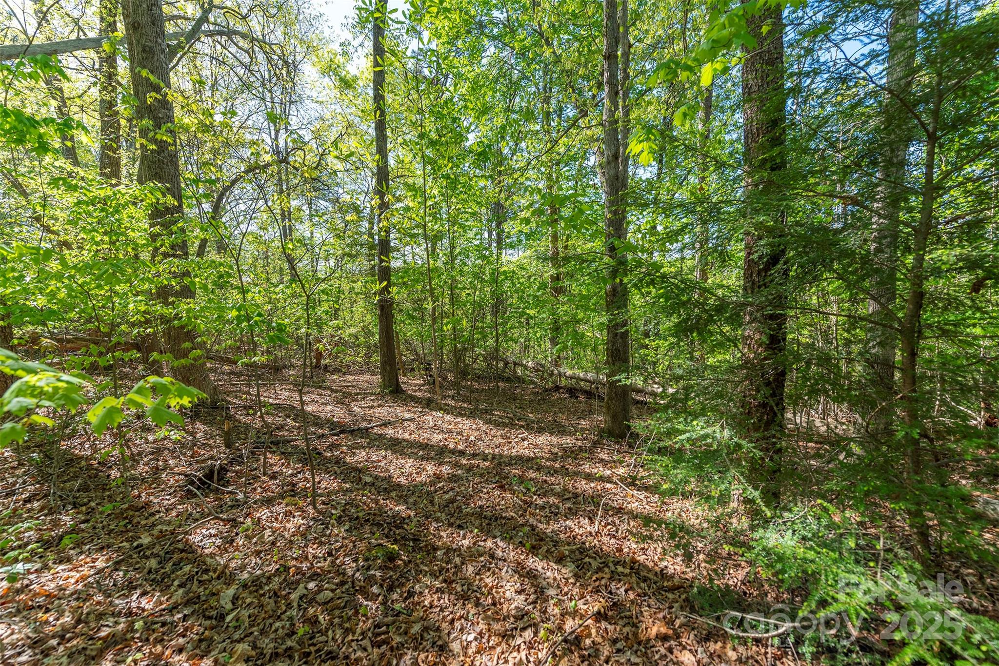 0 Thousand Oaks Drive Marion, NC 28752 - Photo 7 of 10 a view of outdoor space and trees