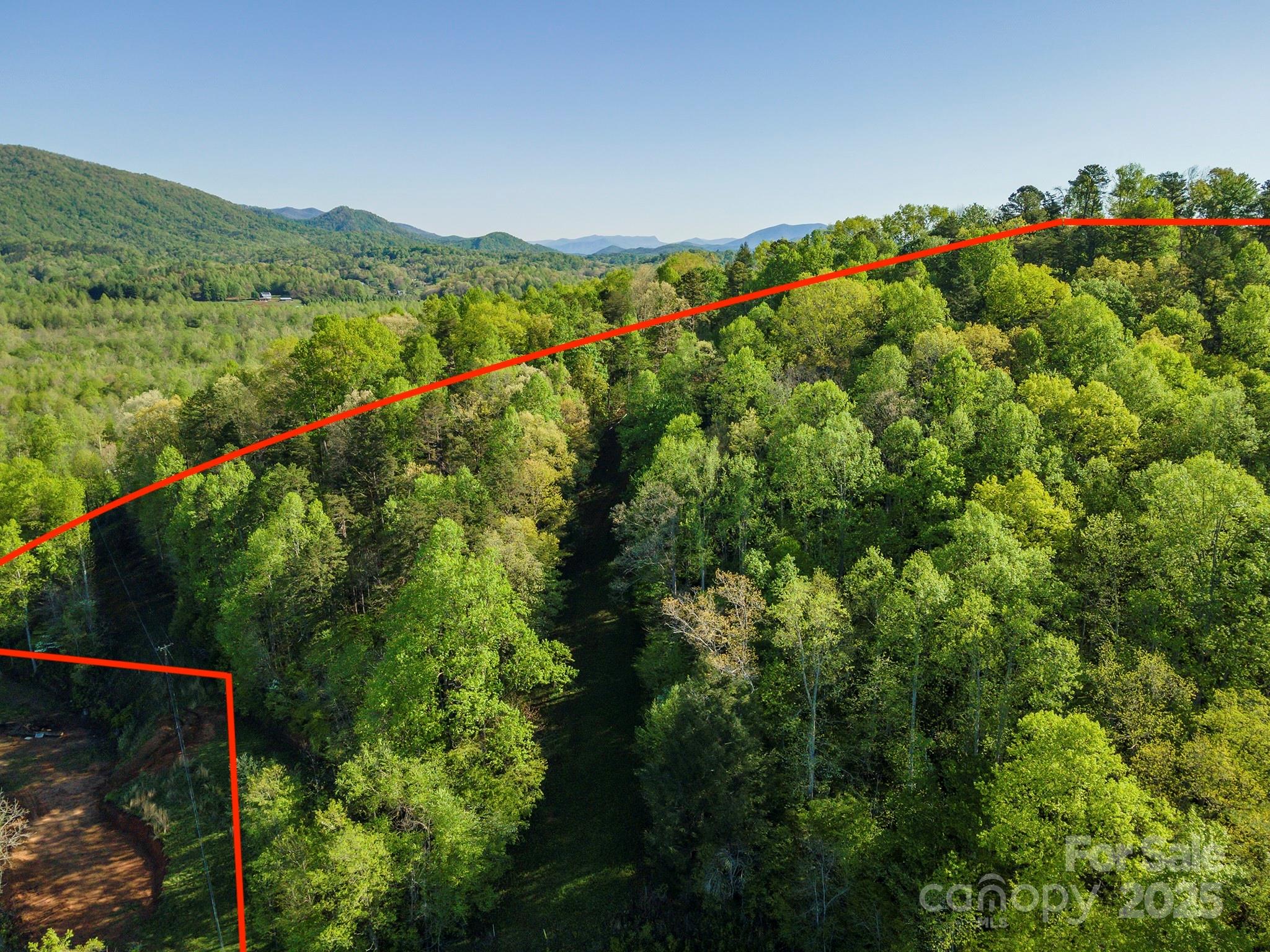 0 Thousand Oaks Drive Marion, NC 28752 - Photo 8 of 10 a view of a lush green forest with a mountain