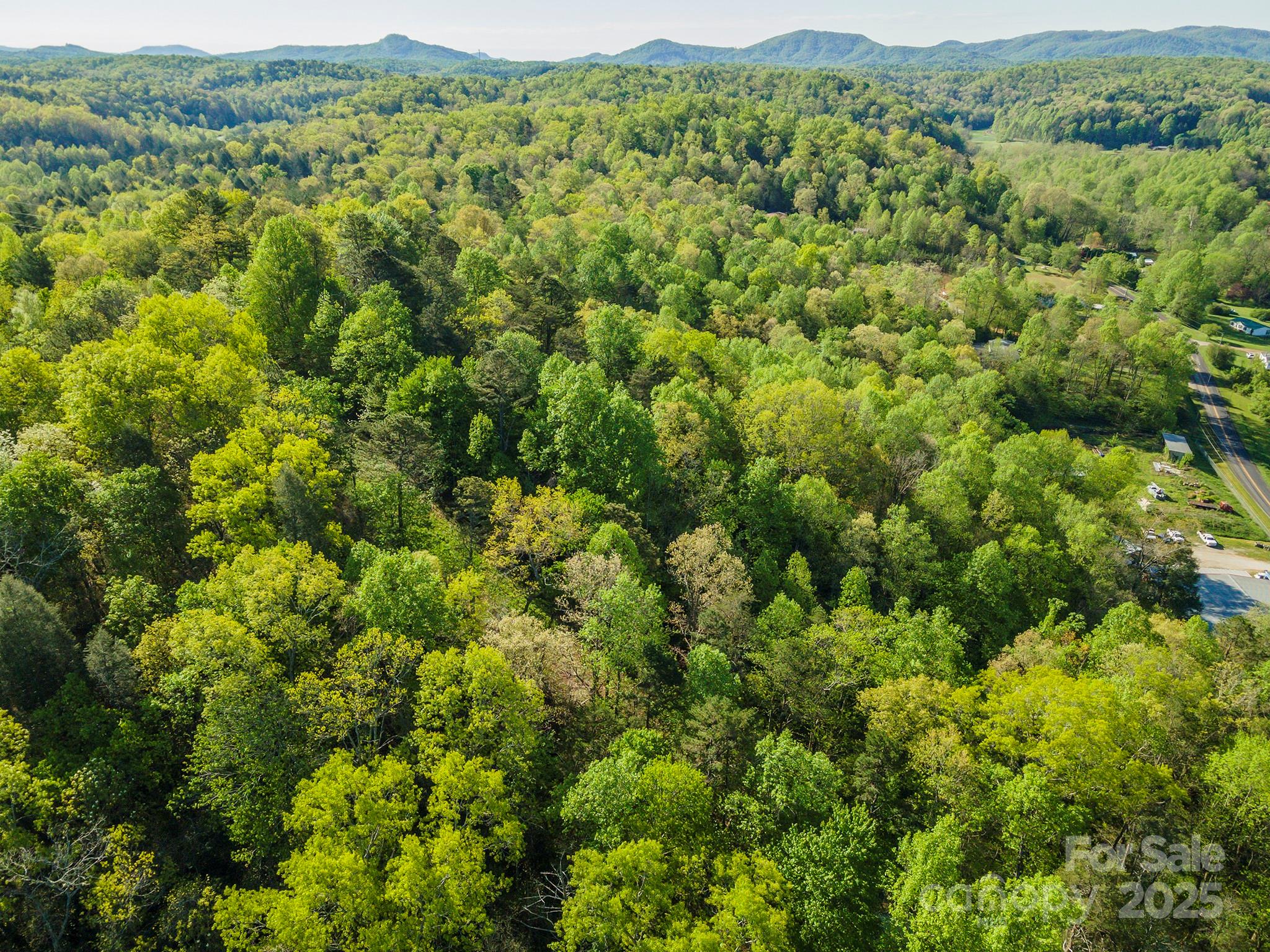 0 Thousand Oaks Drive Marion, NC 28752 - Photo 10 of 10 a view of a lush green forest with trees and houses