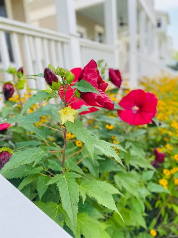 $2,600 | 819 South Morton Street, Bloomington, IN 47403