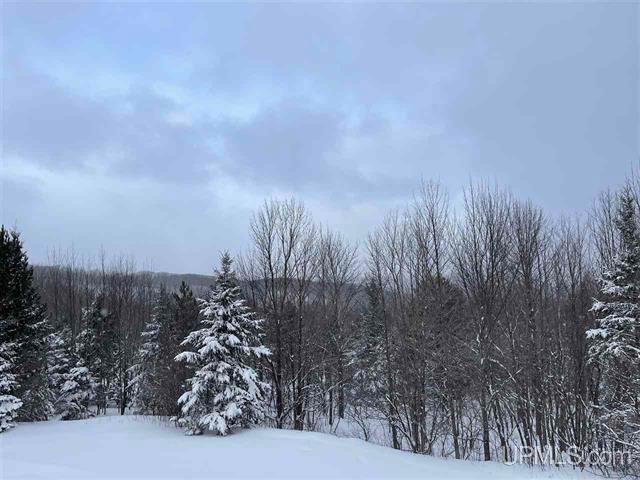 1200 John S Road Wakefield, MI 49968 - Photo 32 of 34 Gallery Image 32
