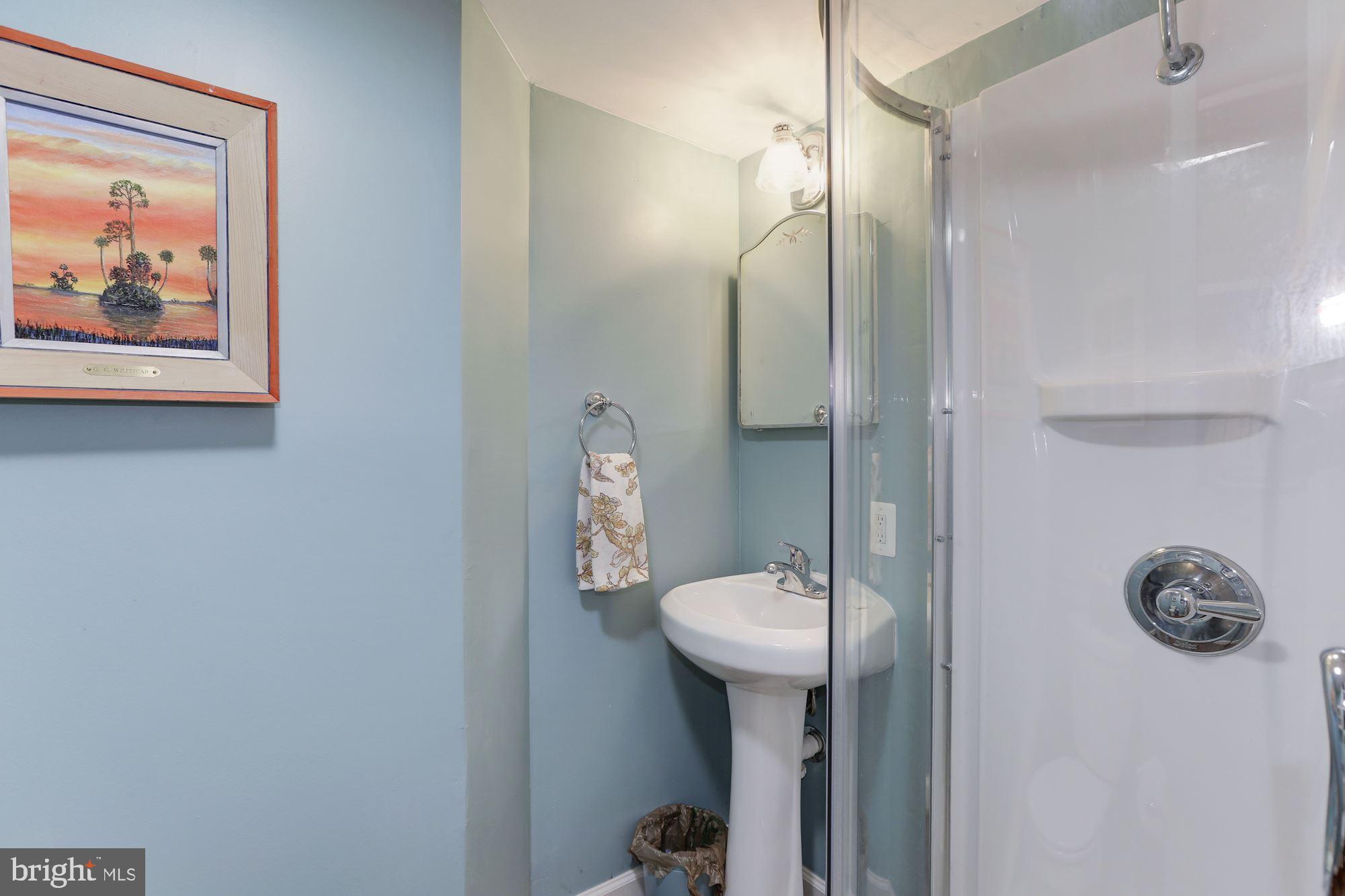 1932 35th Street Northwest Washington, DC 20007 - Photo 21 of 23 Bathroom - Garden Level