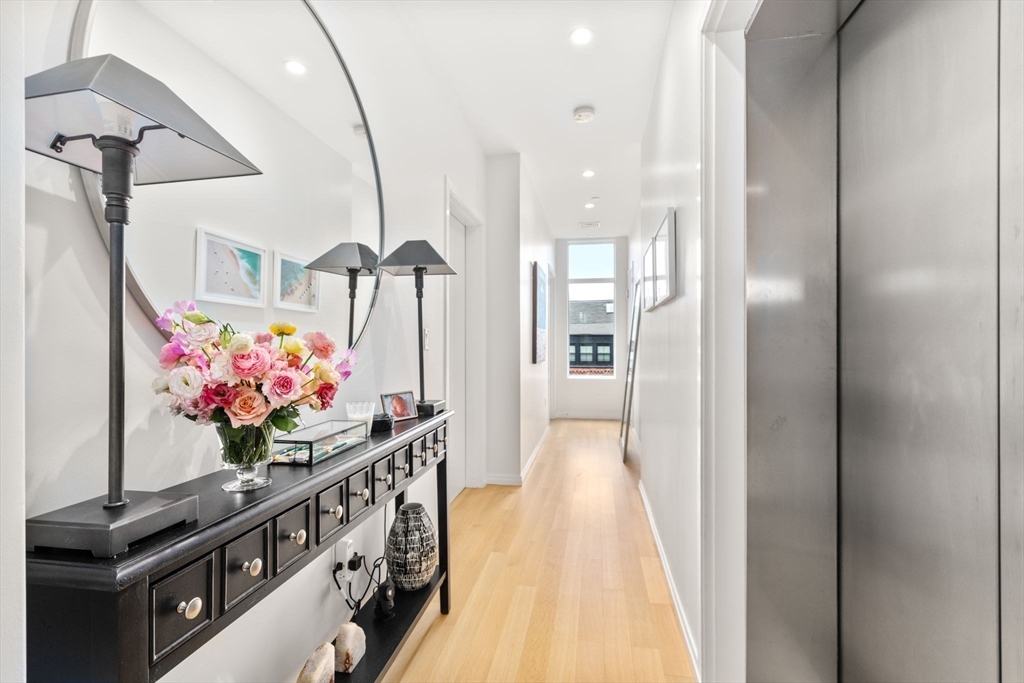 7 East Springfield Street, Unit 5B Boston, MA 02118 - Photo 11 of 19 a view of a hallway and a potted plant
