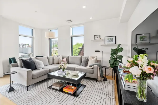 a living room with furniture potted plant and window