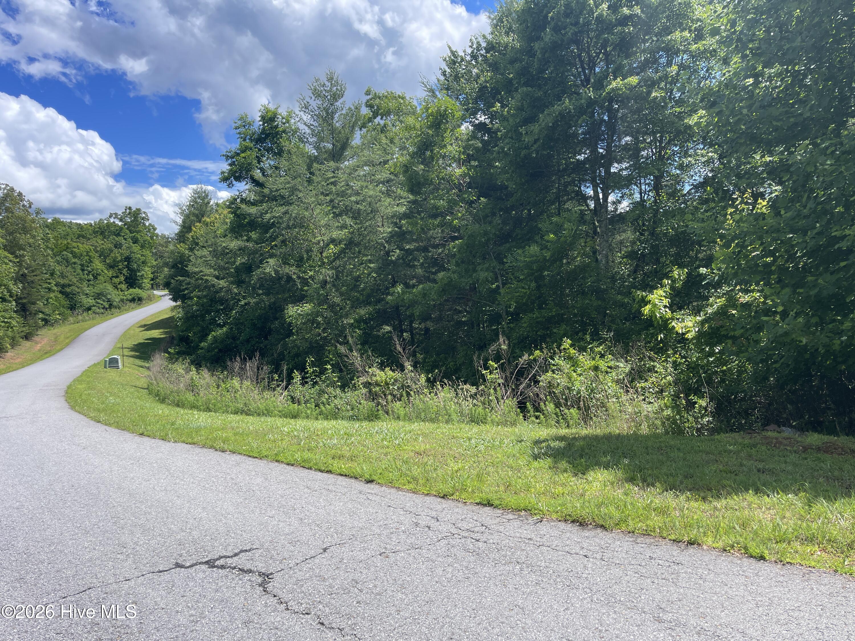 0 River Mountain Road Murphy, NC 28906 - Photo 1 of 6
