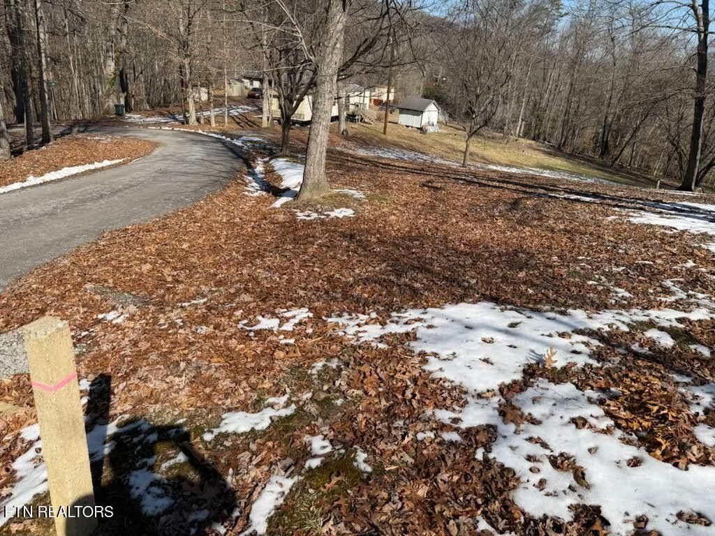 0 Osborne Road Pineville, KY 40977 - Photo 1 of 5 20260212190754400656000000-o