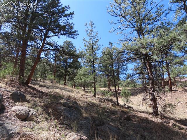 165 West Platte Road Lake George, CO 80827 - Photo 4 of 27