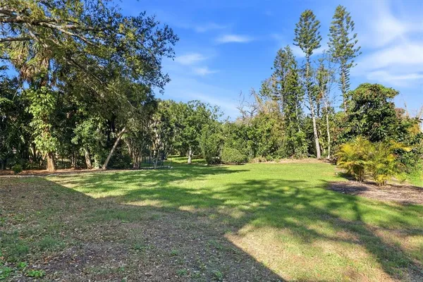 a view of a yard with a tree