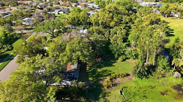 a view of a tree with a tree